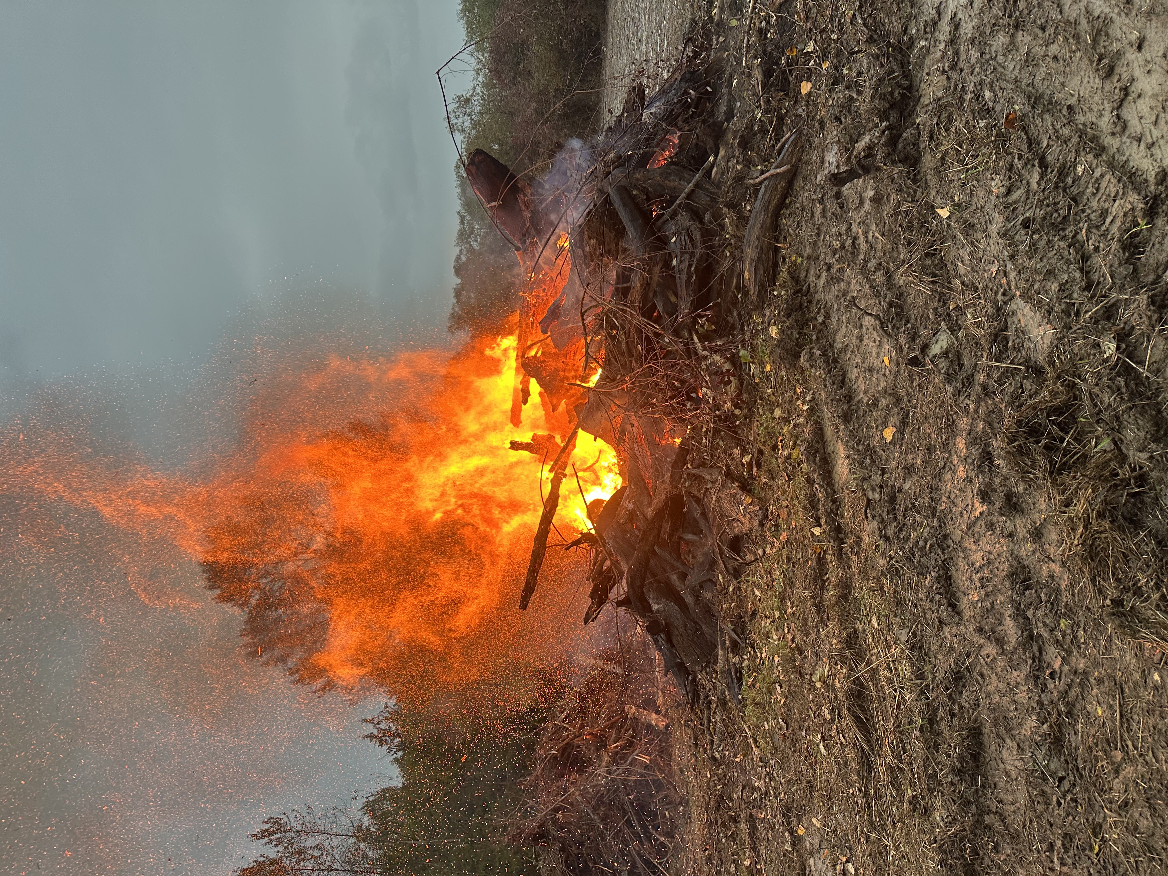 Burning