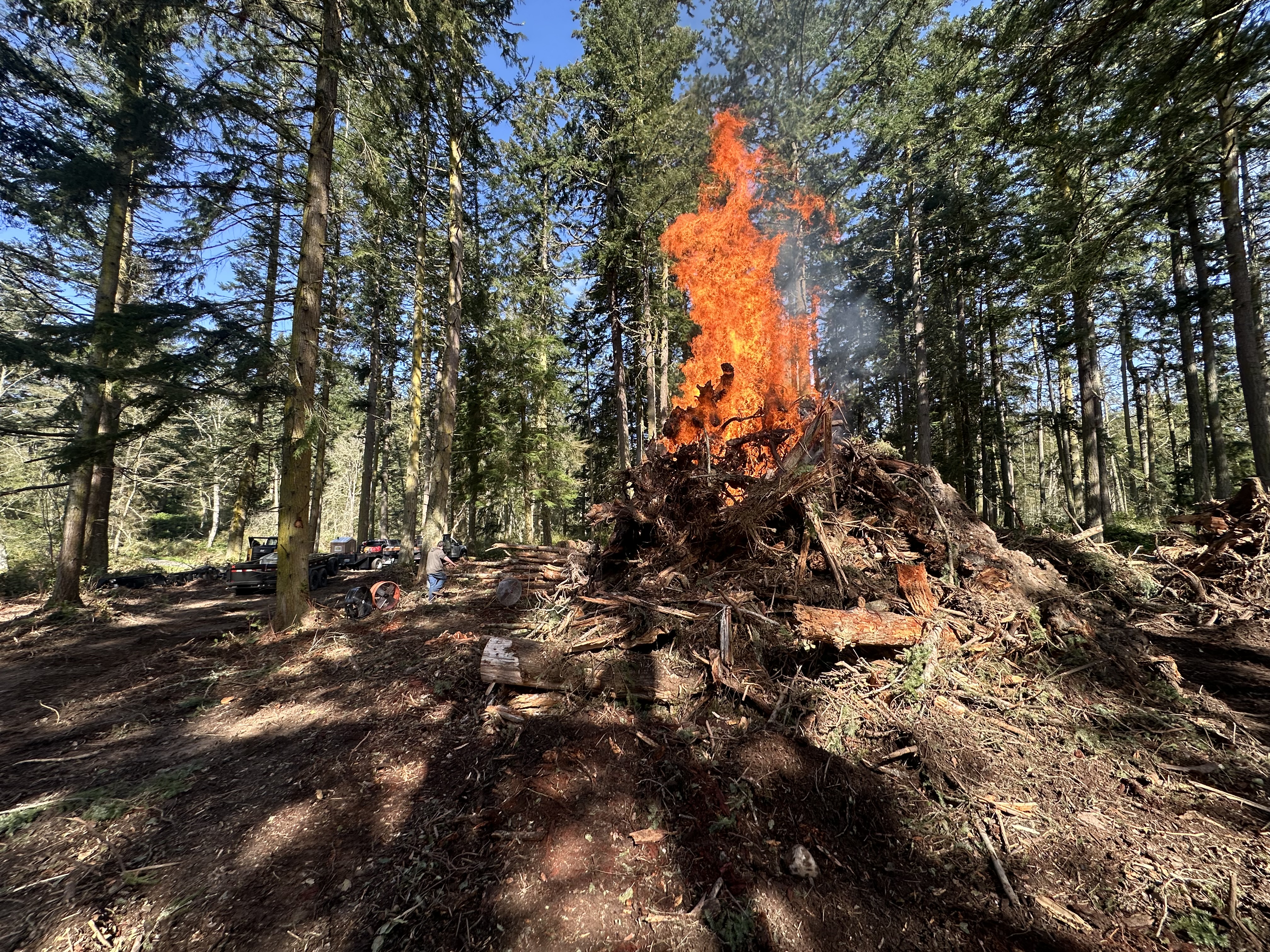 Burning