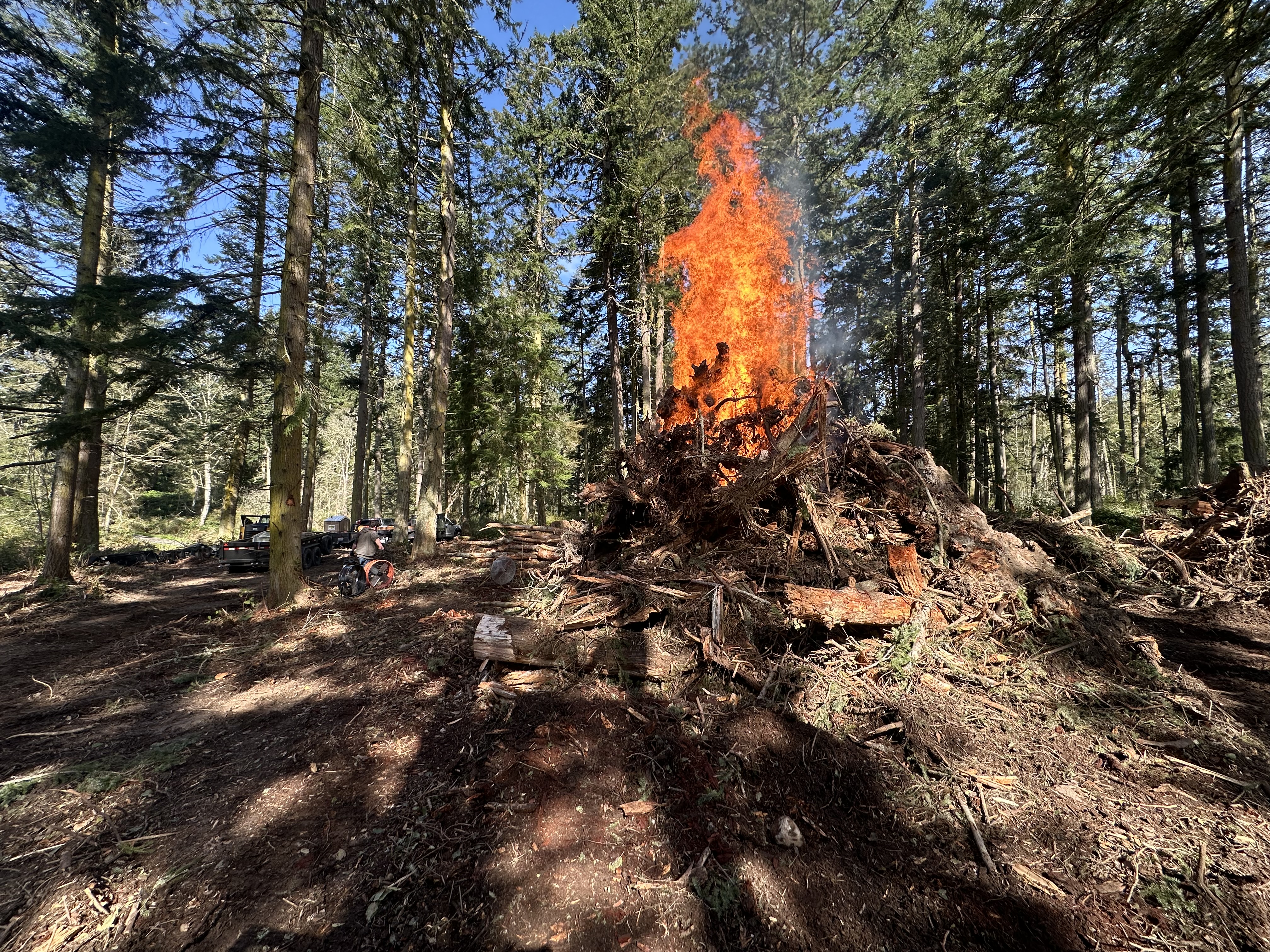 Burning