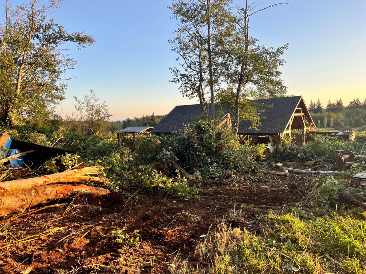 Tree Removal