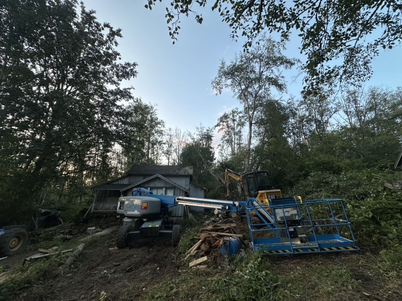 Tree Removal