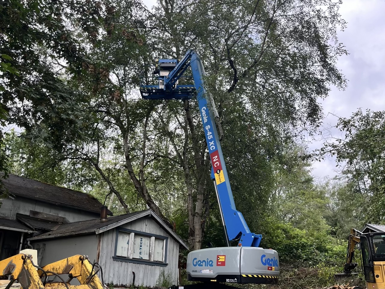 Tree Removal