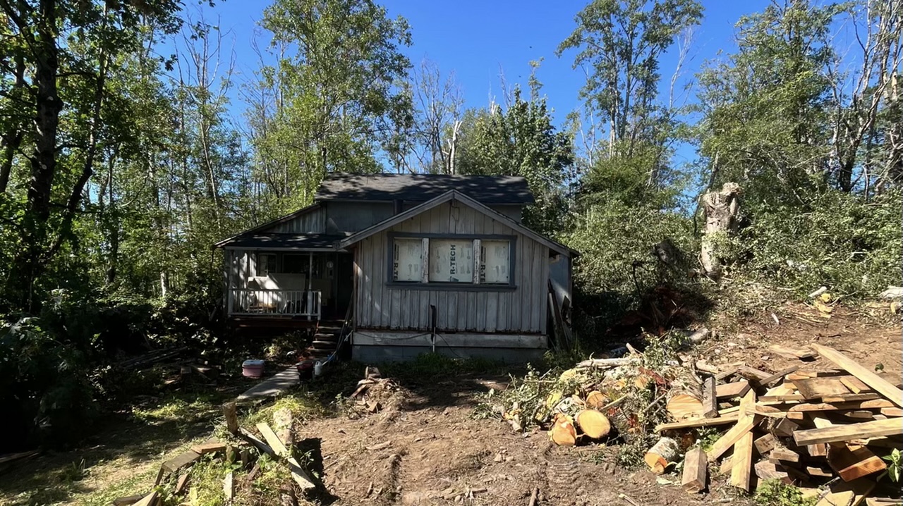 Tree Removal