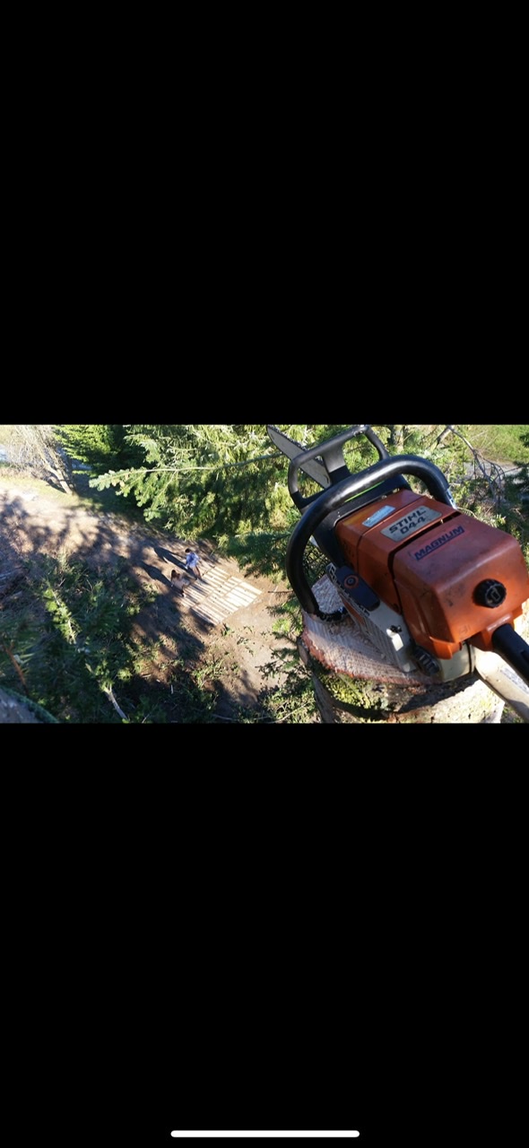 Tree Service