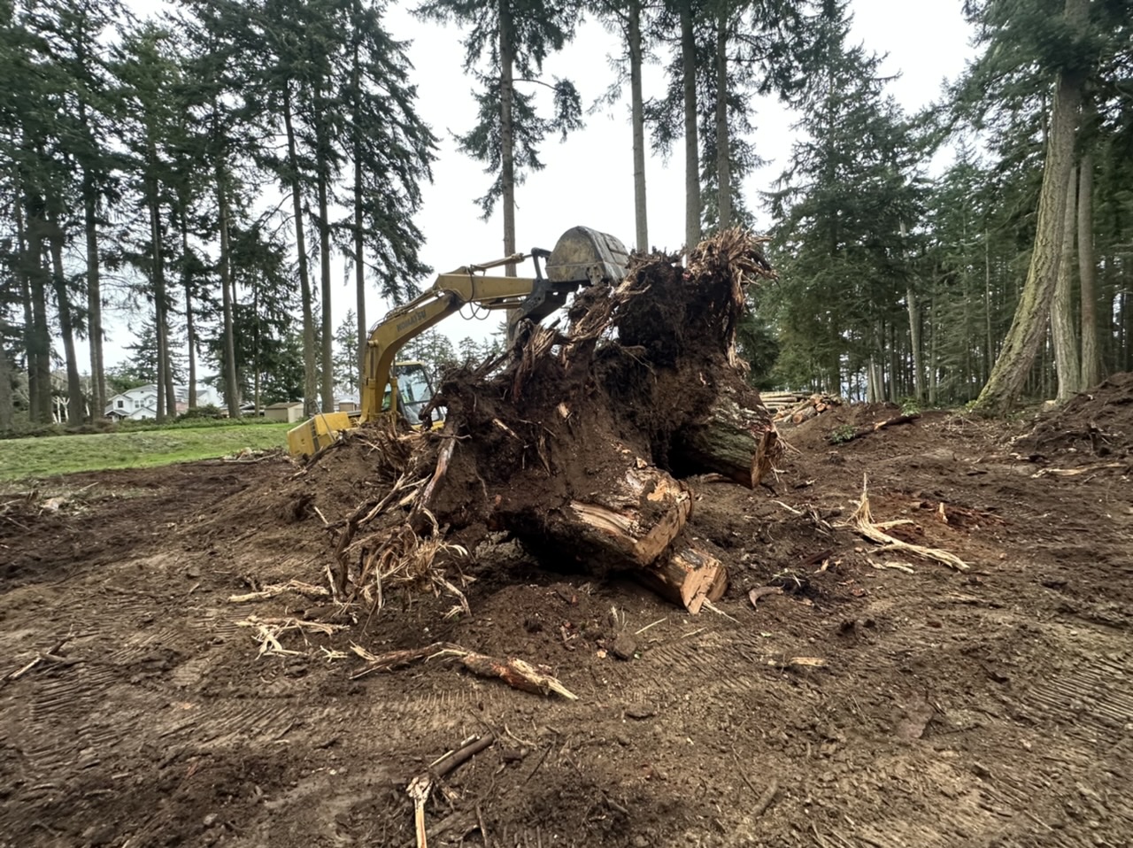 Land Clearing